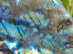 Polished Labradorite Standing Free Forms x 3 From Madagascar - Toprock Gemstones and Minerals 