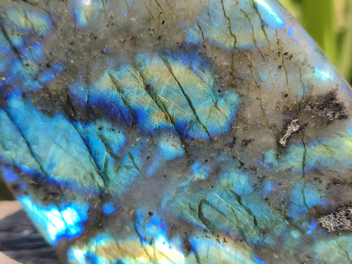Polished Labradorite Standing Free Forms x 3 From Madagascar - Toprock Gemstones and Minerals 