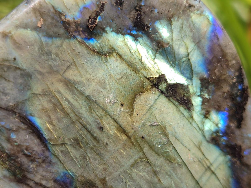 Polished Labradorite Standing Free Forms x 3 From Madagascar - Toprock Gemstones and Minerals 