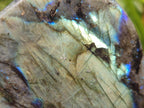 Polished Labradorite Standing Free Forms x 3 From Madagascar - Toprock Gemstones and Minerals 