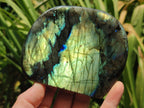 Polished Labradorite Standing Free Forms x 3 From Madagascar - Toprock Gemstones and Minerals 