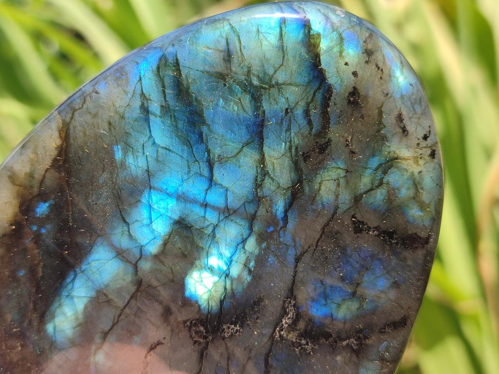 Polished Labradorite Standing Free Forms x 3 From Madagascar - Toprock Gemstones and Minerals 