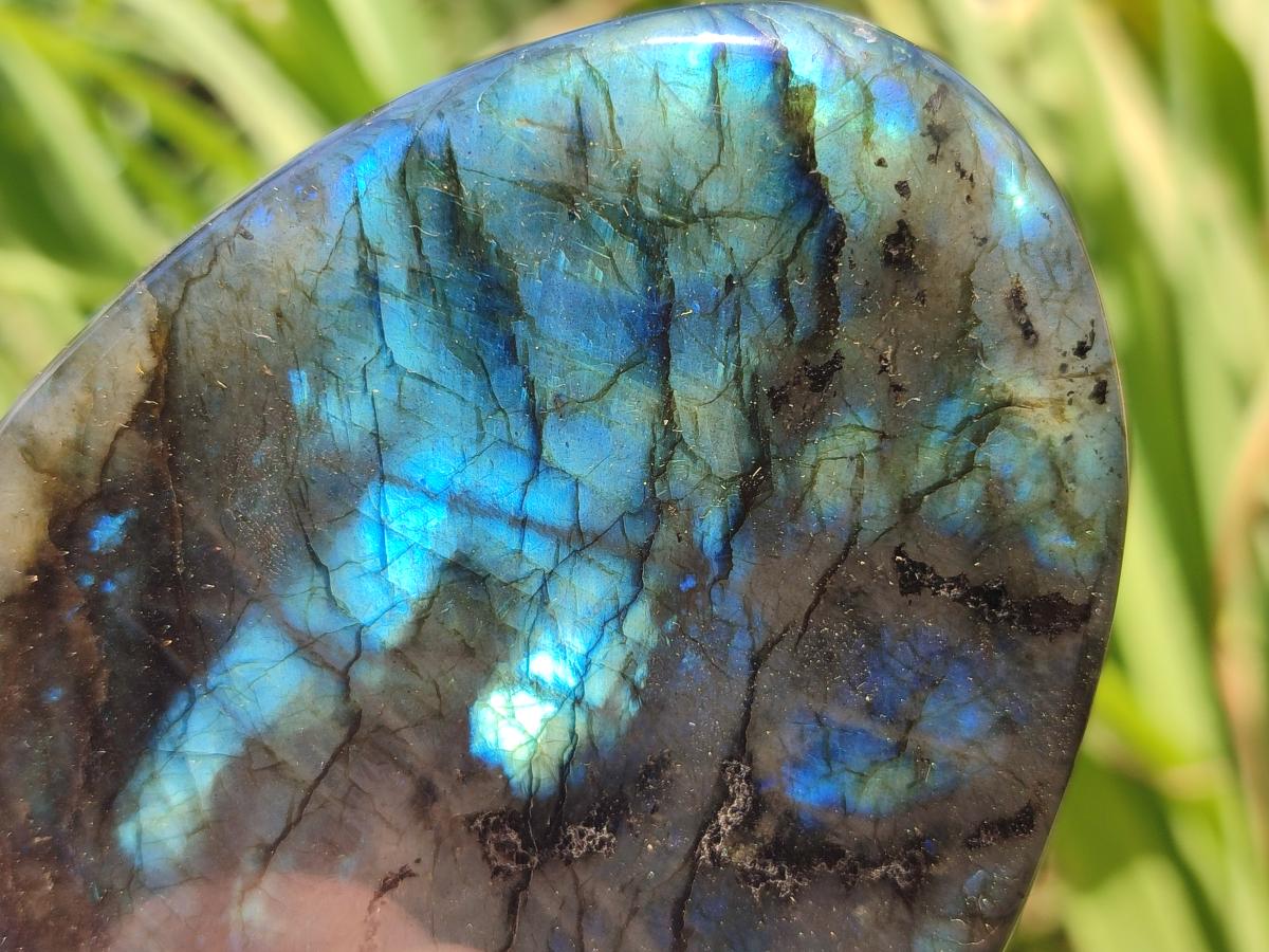 Polished Labradorite Standing Free Forms x 3 From Madagascar - Toprock Gemstones and Minerals 