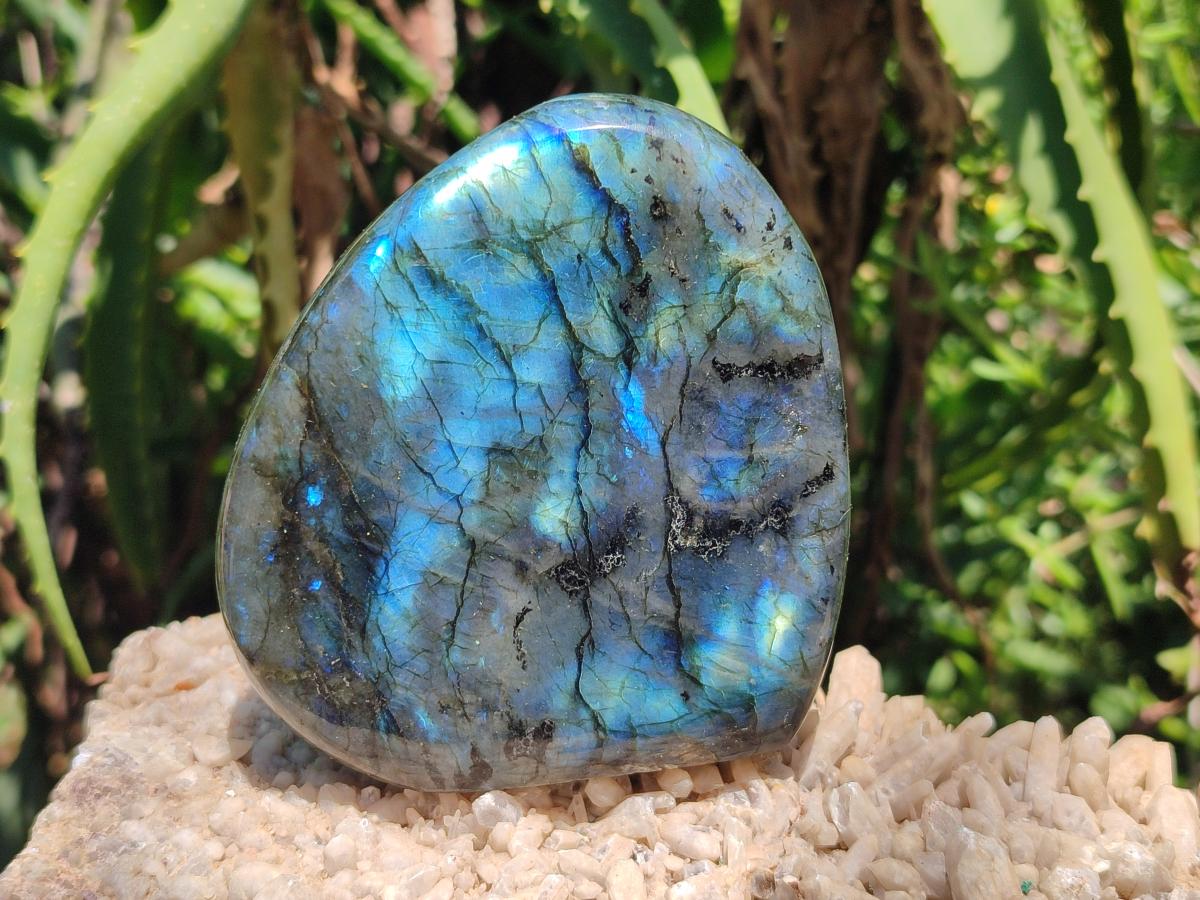 Polished Labradorite Standing Free Forms x 3 From Madagascar - Toprock Gemstones and Minerals 