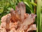 Natural Red Hematoid Quartz Clusters x 3 From Karoi, Zimbabwe - Toprock Gemstones and Minerals 