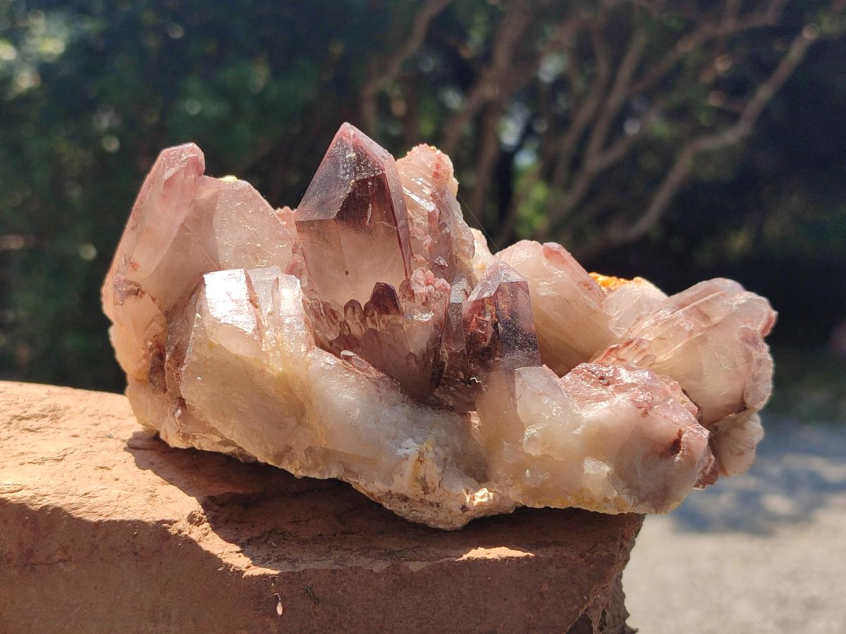 Natural Red Hematoid Quartz Clusters x 3 From Karoi, Zimbabwe - Toprock Gemstones and Minerals 