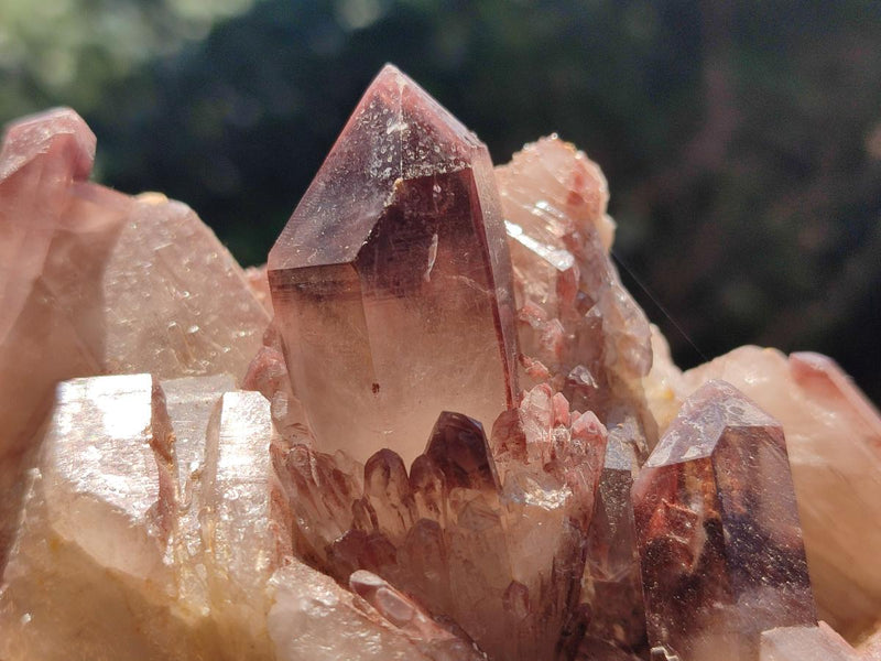 Natural Red Hematoid Quartz Clusters x 3 From Karoi, Zimbabwe - Toprock Gemstones and Minerals 