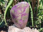 Polished Stichtite Standing Free Forms x 3 From Barberton, South Africa - Toprock Gemstones and Minerals 