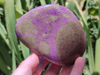 Polished Stichtite Standing Free Forms x 3 From Barberton, South Africa - Toprock Gemstones and Minerals 