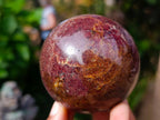 Polished Garnet Spheres x 2 From Mahajanga, Madagascar - Toprock Gemstones and Minerals 
