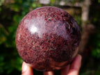 Polished Garnet Spheres x 2 From Mahajanga, Madagascar - Toprock Gemstones and Minerals 