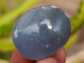 Polished Mini Blue Celestite Free Form Crystals x 20 From Sakoany, Madagascar - Toprock Gemstones and Minerals 