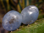 Polished Mini Blue Celestite Free Form Crystals x 20 From Sakoany, Madagascar - Toprock Gemstones and Minerals 