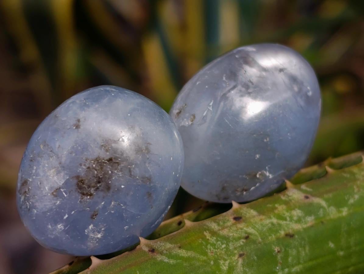 Polished Mini Blue Celestite Free Form Crystals x 20 From Sakoany, Madagascar - Toprock Gemstones and Minerals 