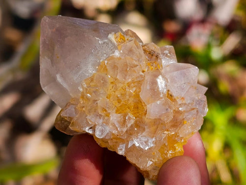 Natural Smokey Amethyst Spirit Clusters x 12 From Boekenhouthoek, South Africa - Toprock Gemstones and Minerals 