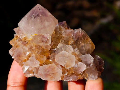 Natural Smokey Amethyst Spirit Clusters x 12 From Boekenhouthoek, South Africa - Toprock Gemstones and Minerals 