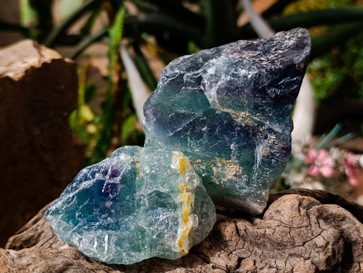 Natural Watermelon Fluorite Cobbed Specimens x 12 From Uis, Namibia - Toprock Gemstones and Minerals 