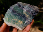 Natural Watermelon Fluorite Cobbed Specimens x 12 From Uis, Namibia - Toprock Gemstones and Minerals 