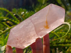 Polished Double Terminated Gemmy Rose Quartz Crystals x 6 From Madagascar - Toprock Gemstones and Minerals 