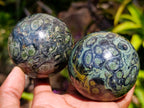 Polished Stromatolite Spheres x 6 From Katsepy, Madagascar - Toprock Gemstones and Minerals 