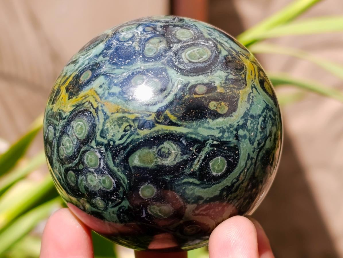 Polished Stromatolite Spheres x 6 From Katsepy, Madagascar - Toprock Gemstones and Minerals 