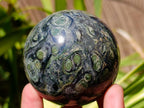 Polished Stromatolite Spheres x 6 From Katsepy, Madagascar - Toprock Gemstones and Minerals 