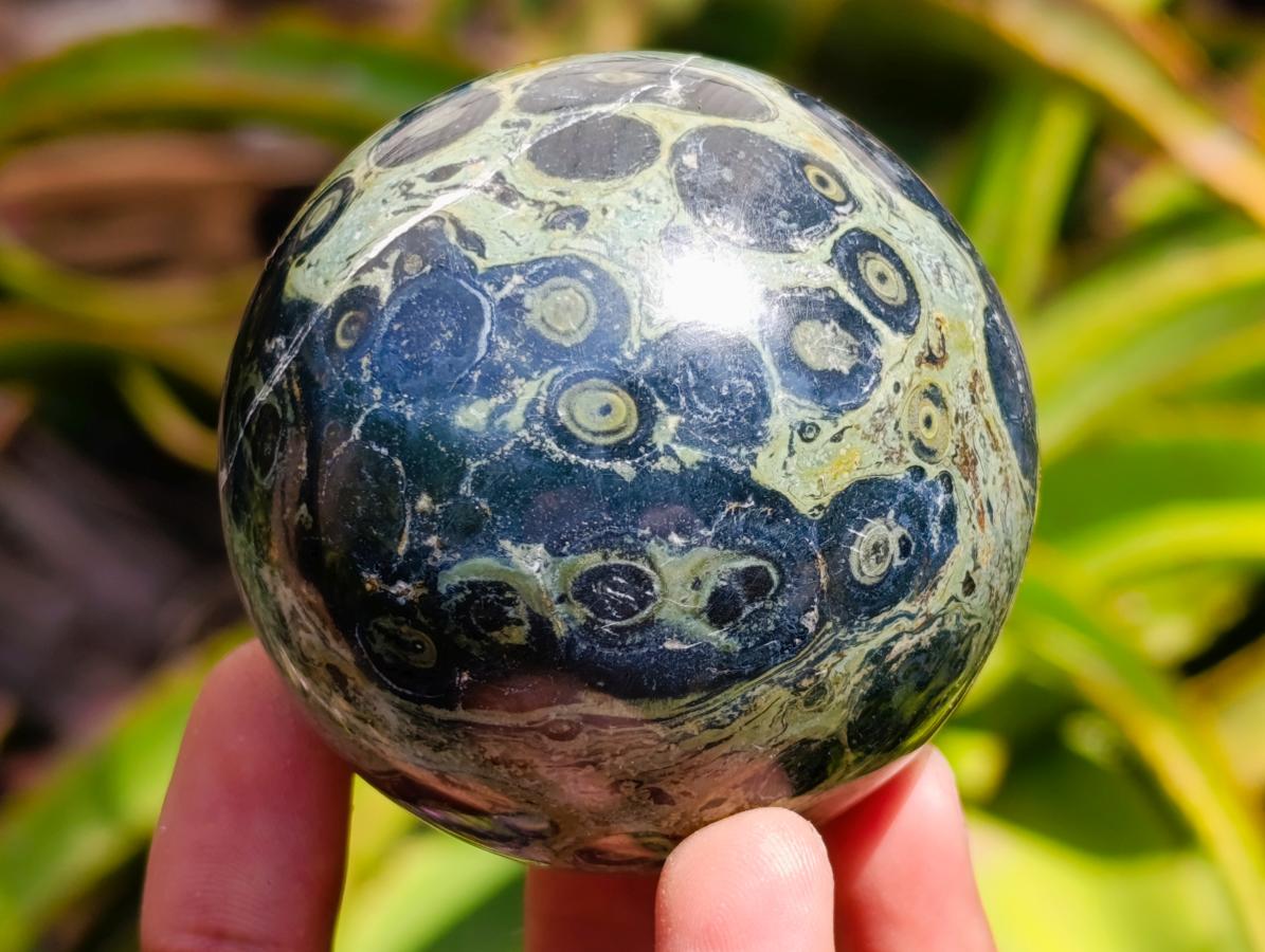Polished Stromatolite Spheres x 6 From Katsepy, Madagascar - Toprock Gemstones and Minerals 