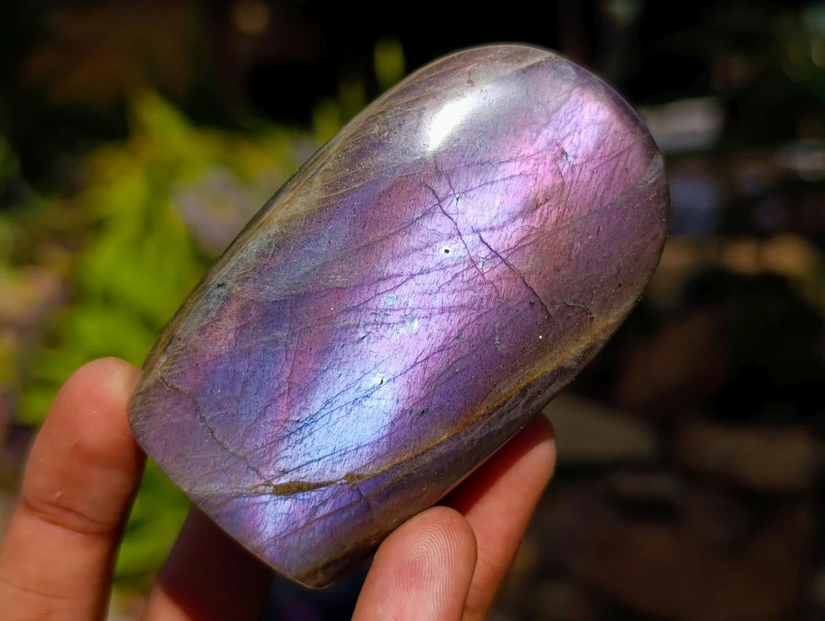 Polished Rare Purple Sunset Flash Labradorite Standing Free Forms x 6 From Madagascar - Toprock Gemstones and Minerals 