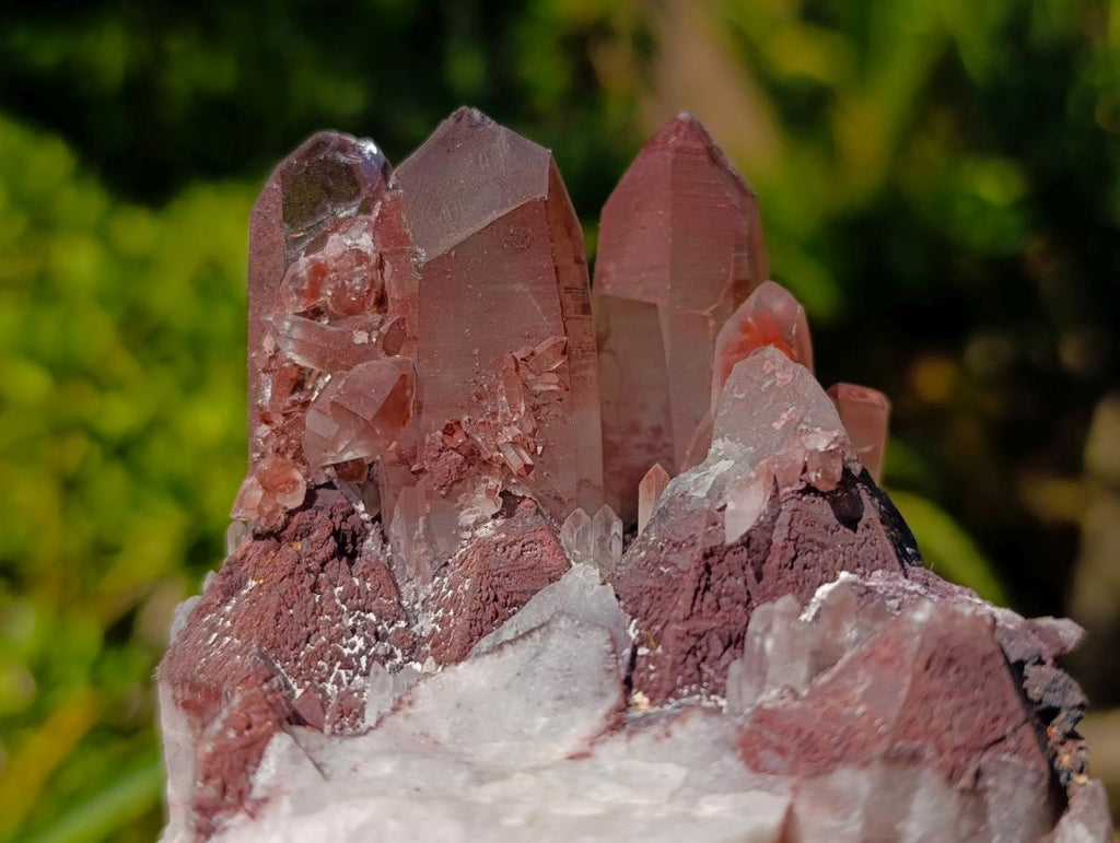 Natural Red Hematoid Quartz Clusters x 3 From Karoi, Zimbabwe - Toprock Gemstones and Minerals 