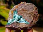 Natural Botryoidal Chrysocolla and Malachite Pseudomorph Specimens x 6 From Kolwezi, Congo - Toprock Gemstones and Minerals 