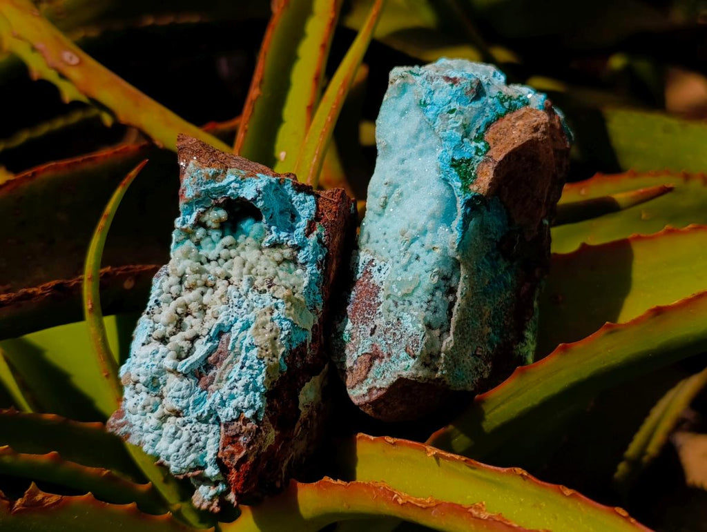 Natural Botryoidal Chrysocolla and Malachite Pseudomorph Specimens x 6 From Kolwezi, Congo - Toprock Gemstones and Minerals 