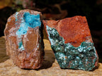 Natural Botryoidal Chrysocolla and Malachite Pseudomorph Specimens x 6 From Kolwezi, Congo - Toprock Gemstones and Minerals 