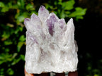 Natural Sugar Amethyst Clusters x 12 From Zambia - Toprock Gemstones and Minerals 