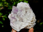Natural Sugar Amethyst Clusters x 12 From Zambia - Toprock Gemstones and Minerals 