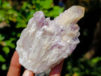 Natural Sugar Amethyst Clusters x 12 From Zambia - Toprock Gemstones and Minerals 