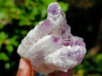 Natural Sugar Amethyst Clusters x 12 From Zambia - Toprock Gemstones and Minerals 