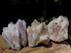 Natural Sugar Amethyst Clusters x 12 From Zambia - Toprock Gemstones and Minerals 