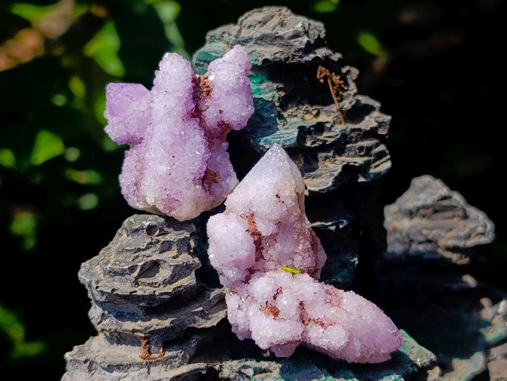 Natural Mixed Spirit Quartz Crystals and Clusters x 53 From Boekenhouthoek, South Africa - Toprock Gemstones and Minerals 