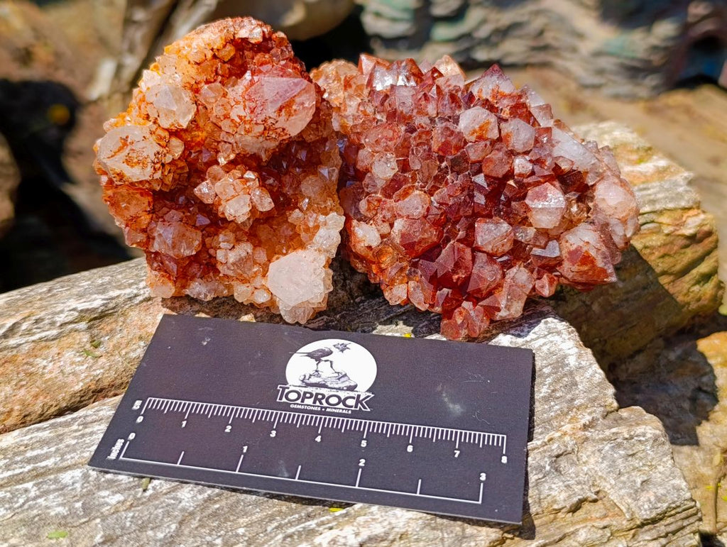Natural Mixed Spirit Quartz Crystals and Clusters x 53 From Boekenhouthoek, South Africa - Toprock Gemstones and Minerals 