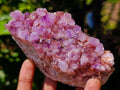 Natural Mixed Spirit Quartz Crystals and Clusters x 53 From Boekenhouthoek, South Africa - Toprock Gemstones and Minerals 