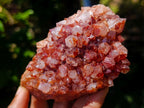 Natural Mixed Spirit Quartz Crystals and Clusters x 53 From Boekenhouthoek, South Africa - Toprock Gemstones and Minerals 