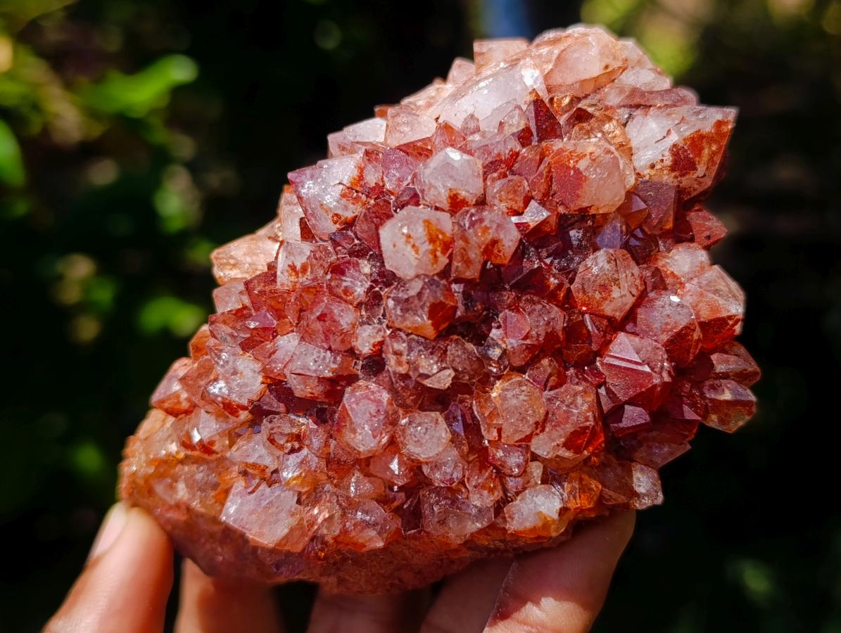 Natural Mixed Spirit Quartz Crystals and Clusters x 53 From Boekenhouthoek, South Africa - Toprock Gemstones and Minerals 