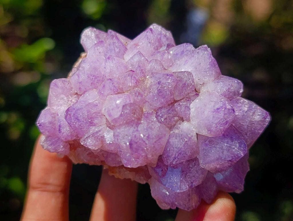 Natural Mixed Spirit Quartz Crystals and Clusters x 53 From Boekenhouthoek, South Africa - Toprock Gemstones and Minerals 