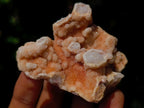 Natural Mixed Spirit Quartz Crystals and Clusters x 53 From Boekenhouthoek, South Africa - Toprock Gemstones and Minerals 