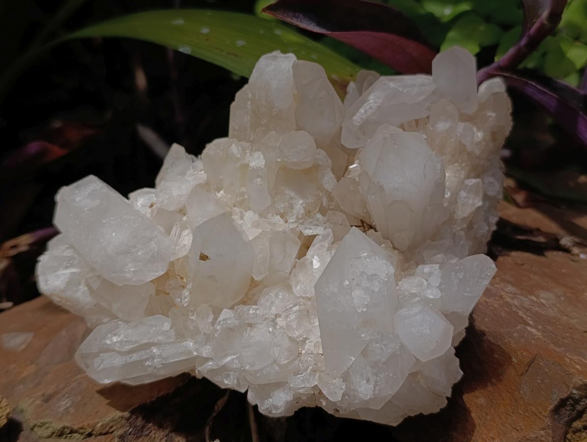 Natural Clear Quartz Crystal Clusters x 3 From Madagascar - Toprock Gemstones and Minerals 