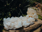 Natural Clear Quartz Crystal Clusters x 3 From Madagascar - Toprock Gemstones and Minerals 
