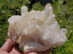 Natural Clear Quartz Crystal Clusters x 3 From Madagascar - Toprock Gemstones and Minerals 