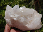 Natural Clear Quartz Crystal Clusters x 3 From Madagascar - Toprock Gemstones and Minerals 