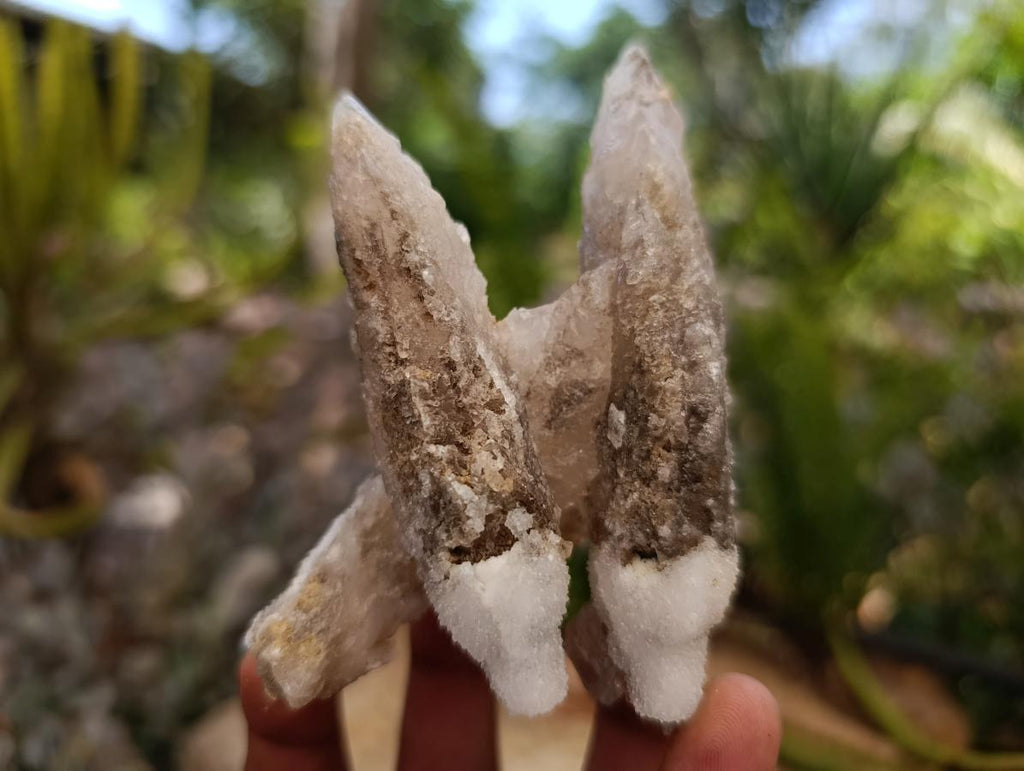 Natural Drusy Quartz Coated Spearhead Calcite Crystals x 12 From Albert's Mountain, Lesotho - Toprock Gemstones and Minerals 