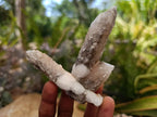 Natural Drusy Quartz Coated Spearhead Calcite Crystals x 12 From Albert's Mountain, Lesotho - Toprock Gemstones and Minerals 